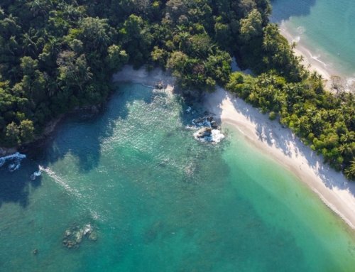 Our Five-Day Itinerary for Manuel Antonio. A Jungle-Laced Love Letter to Costa Rica