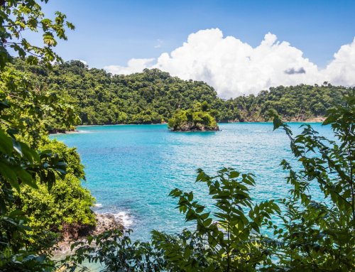 What Is Manuel Antonio, Costa Rica Like? Everything First-Time Visitors Need to Know